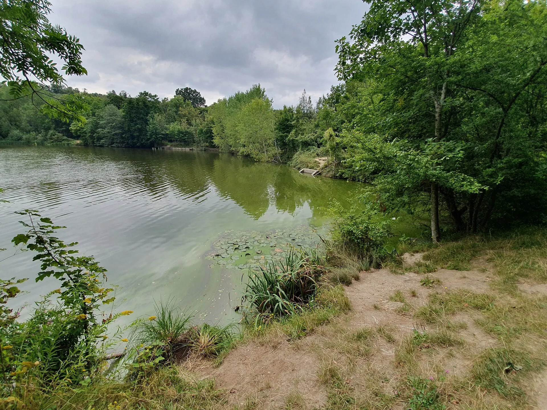 Forêt et étangs près de Buc