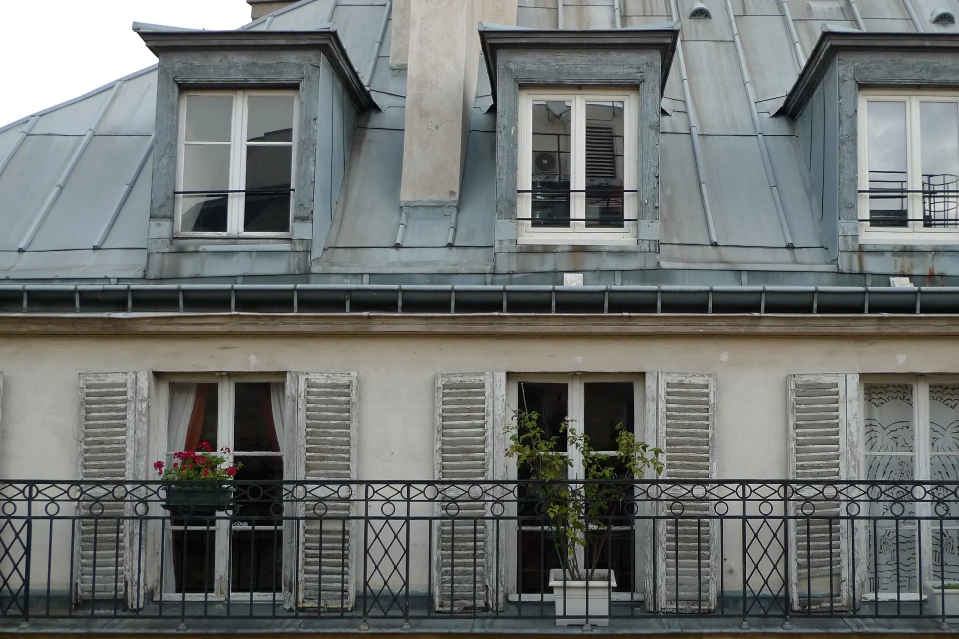 Toitures versaillaises, illustration de l’article « Crapaudine »
